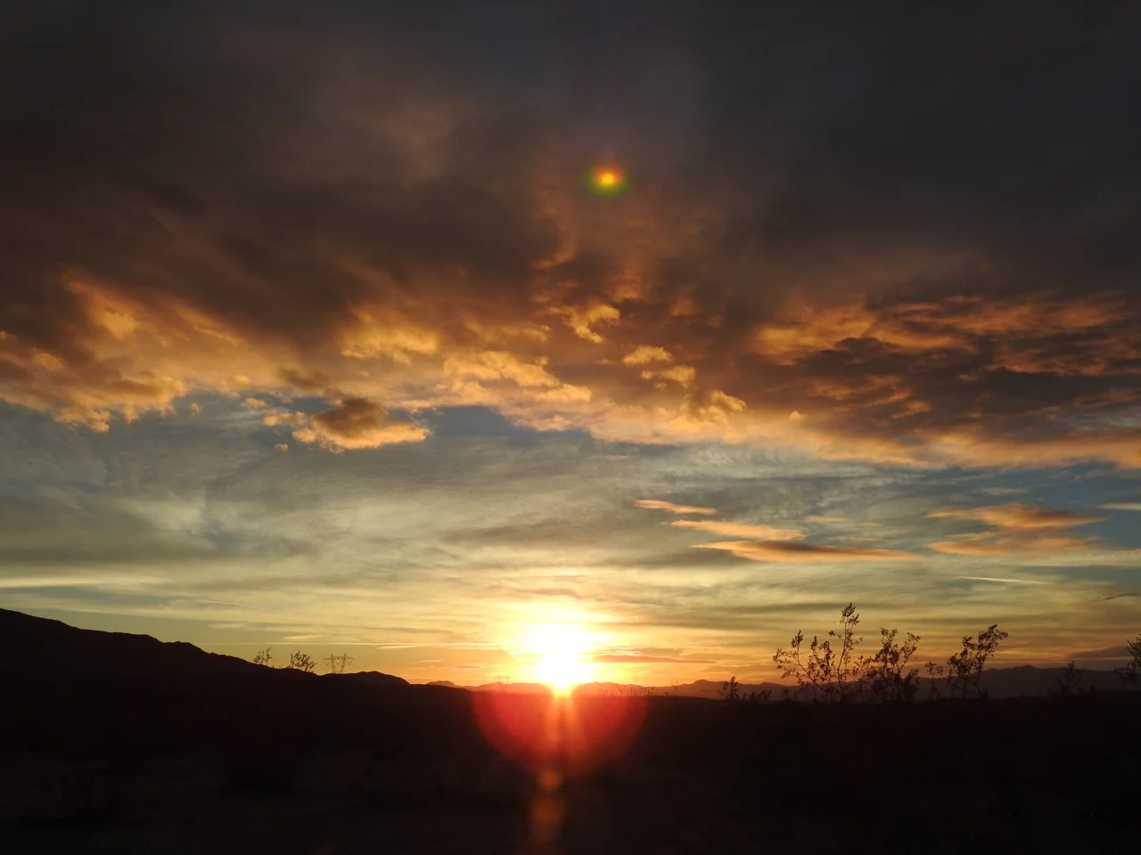 DSCN5365.jpg