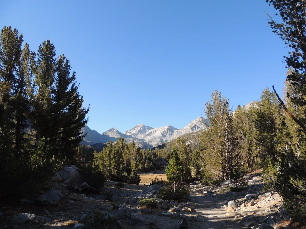 DSCN0883.jpg
