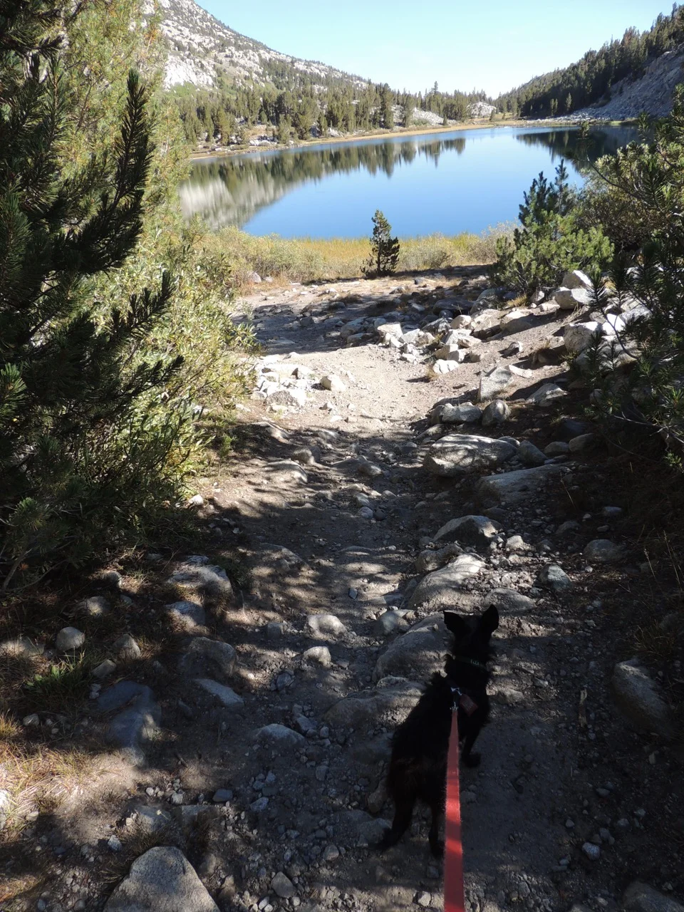 DSCN0913.jpg
