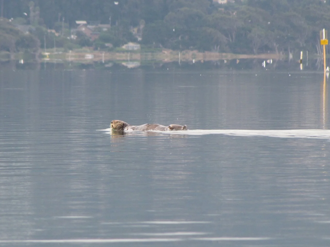 IMG_4382.jpg