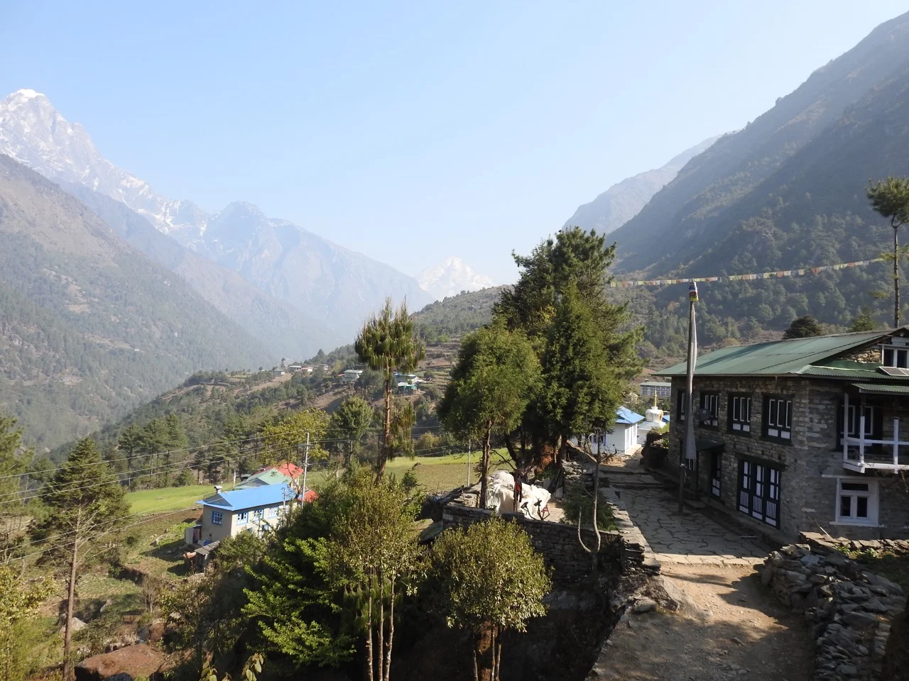 DSCN4938.jpg