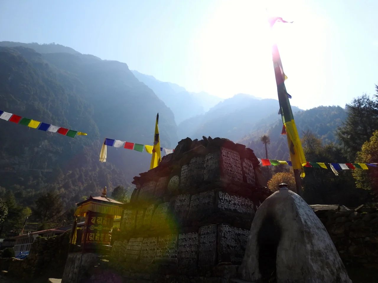 DSCN4943.jpg