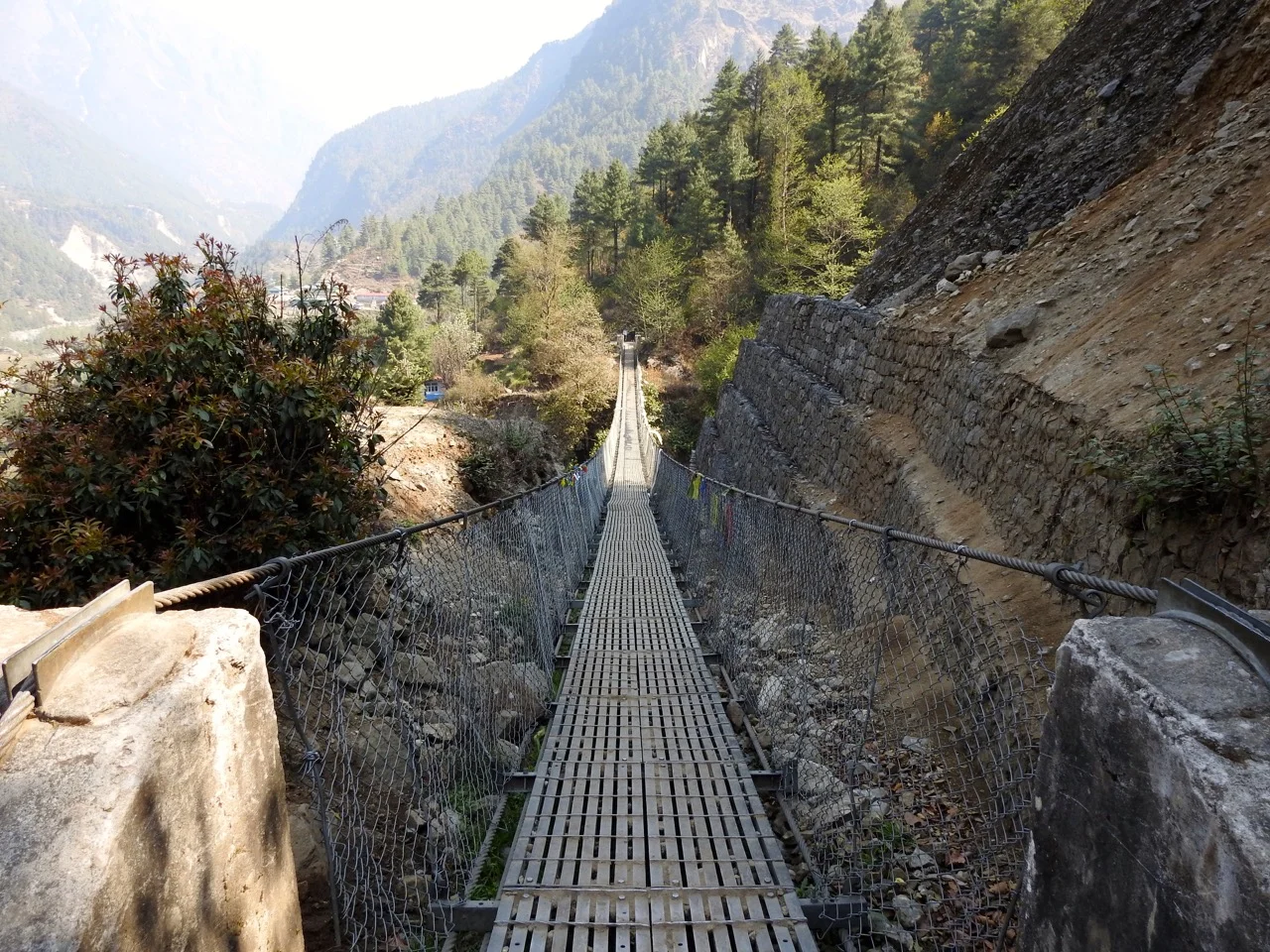 DSCN4958.jpg