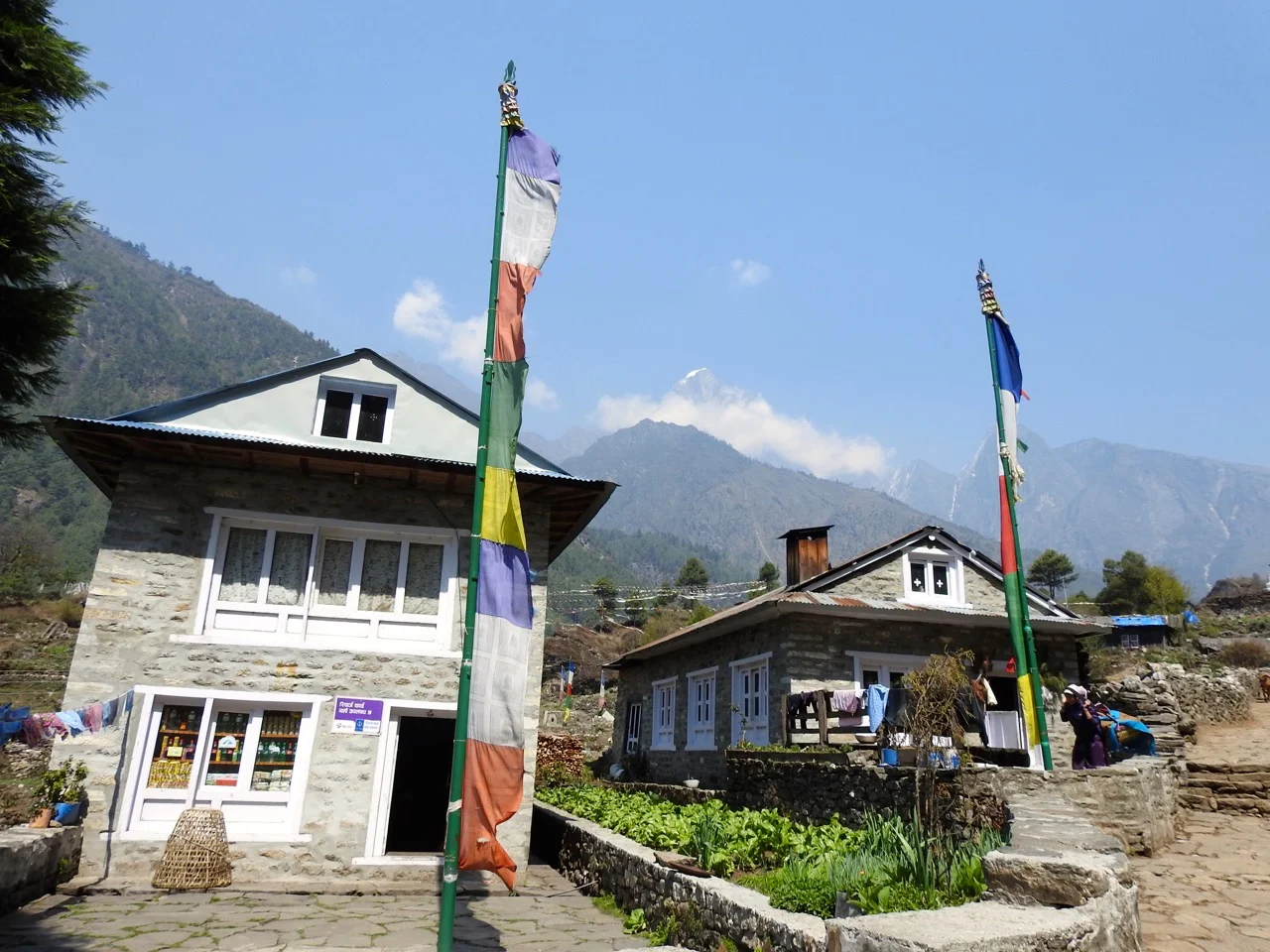 DSCN4986.jpg
