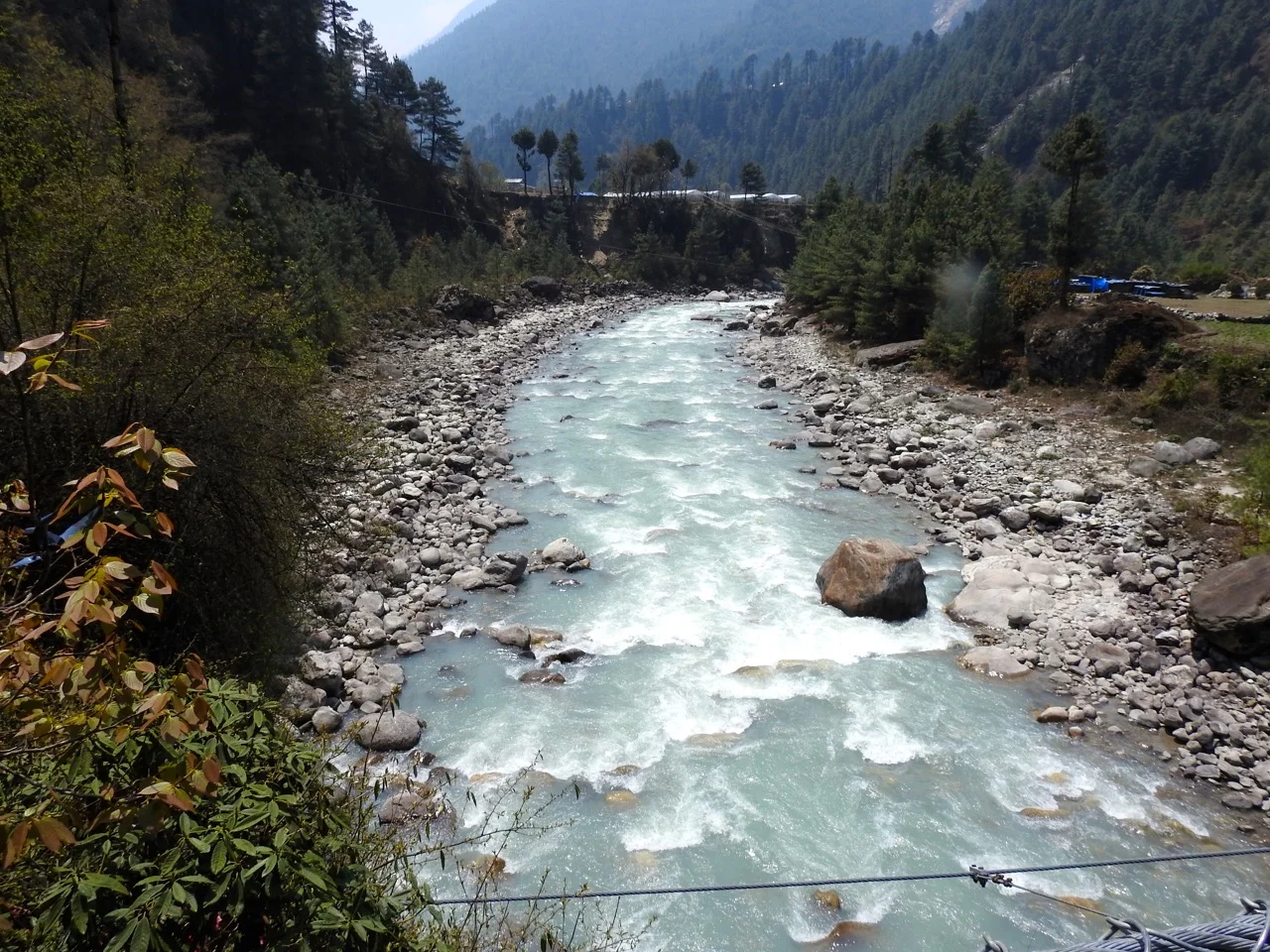 DSCN5009.jpg