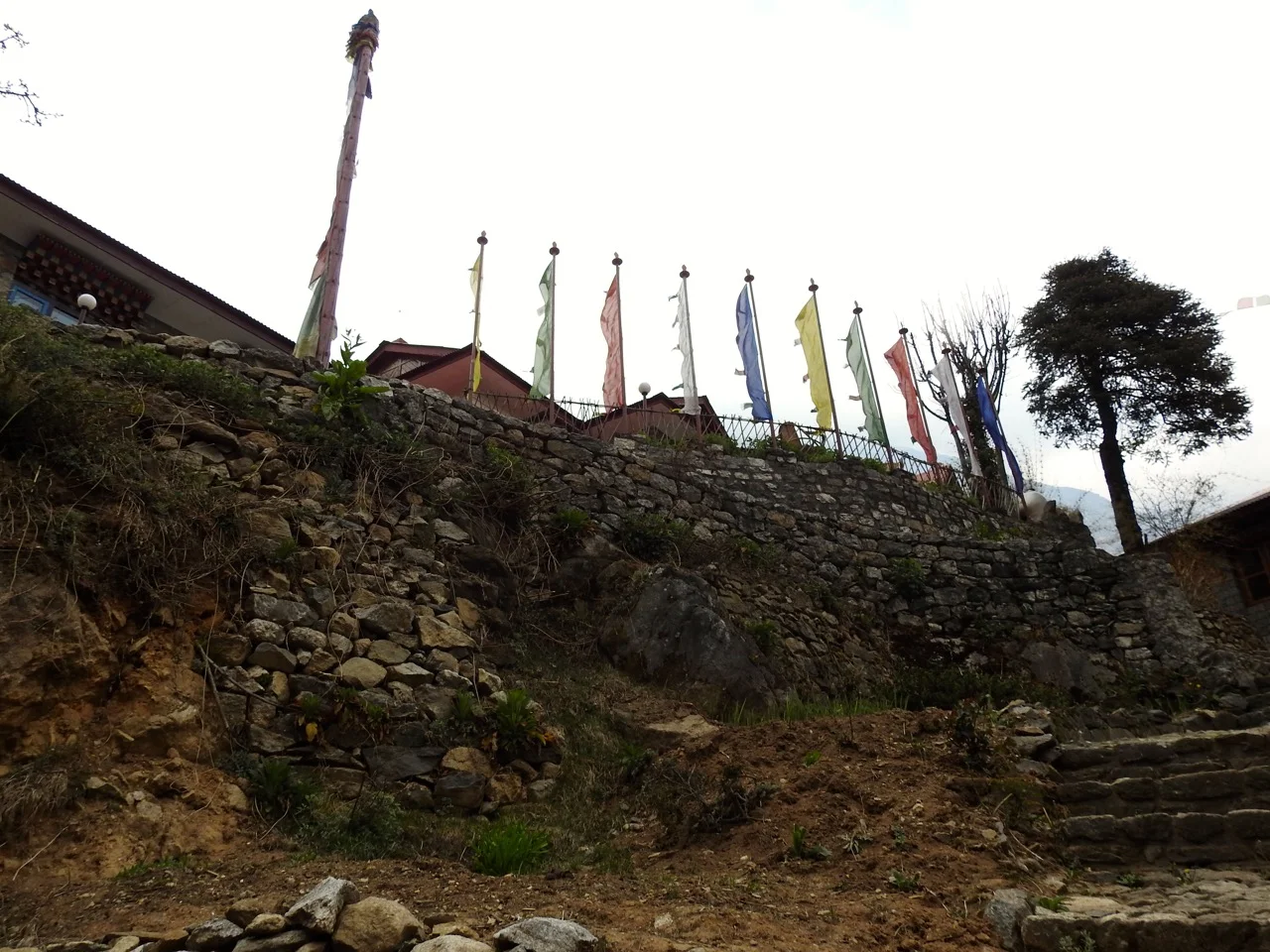 DSCN5040.jpg