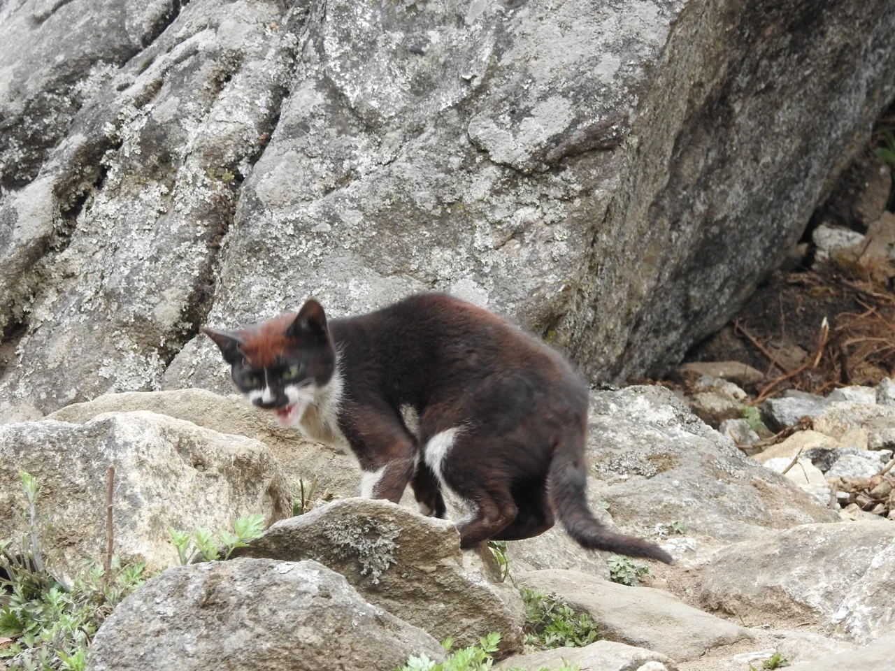 DSCN5053.jpg