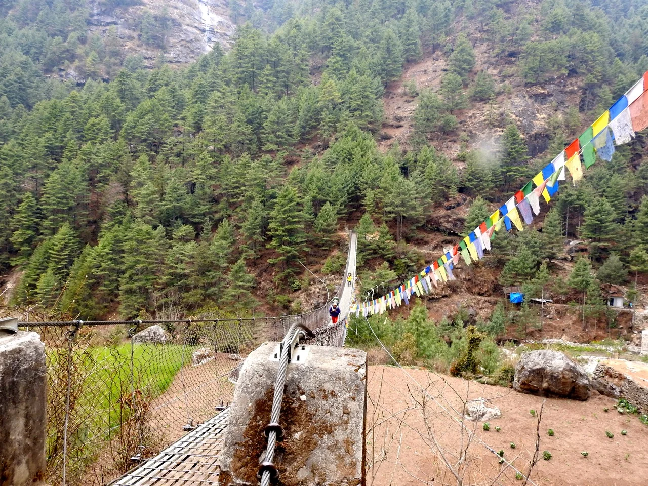 DSCN5061.jpg