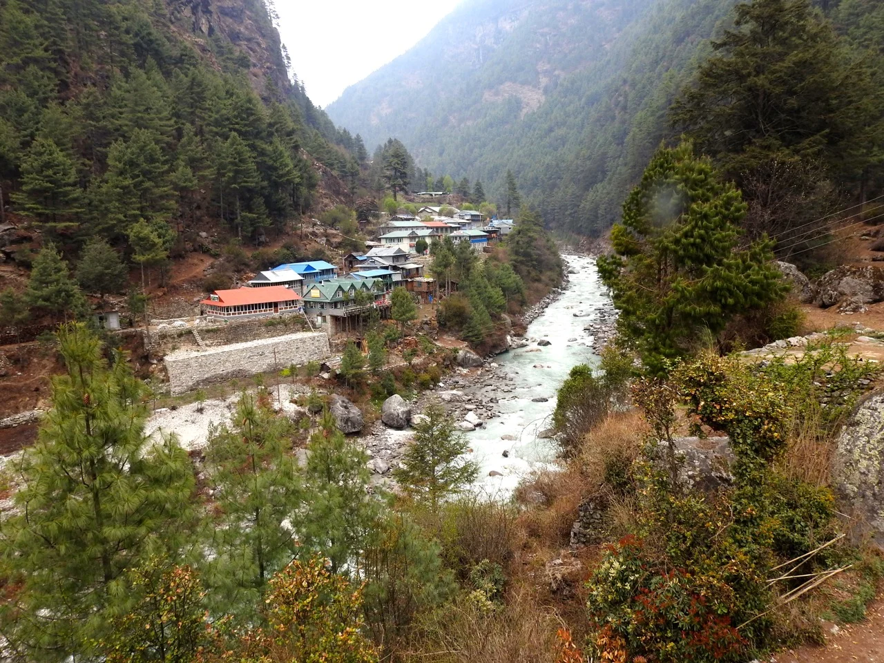 DSCN5062.jpg