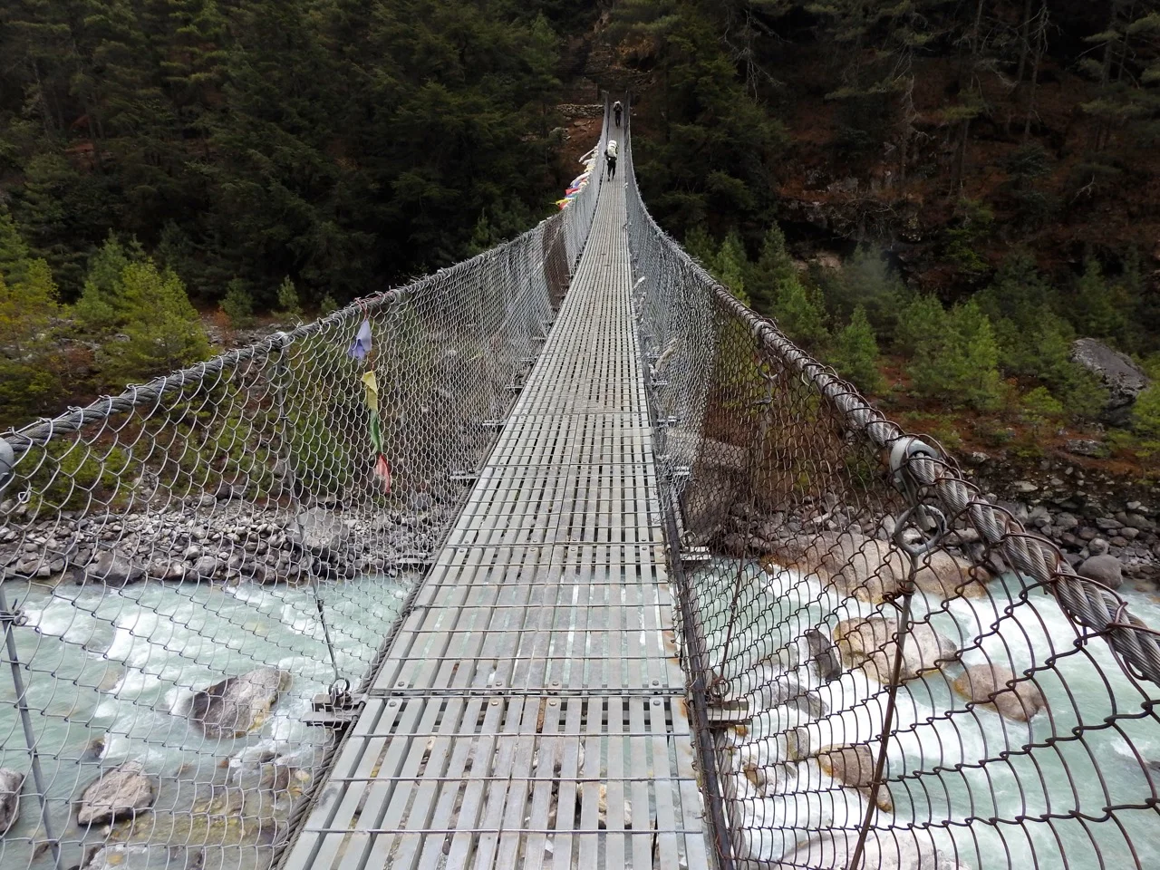 DSCN5070.jpg