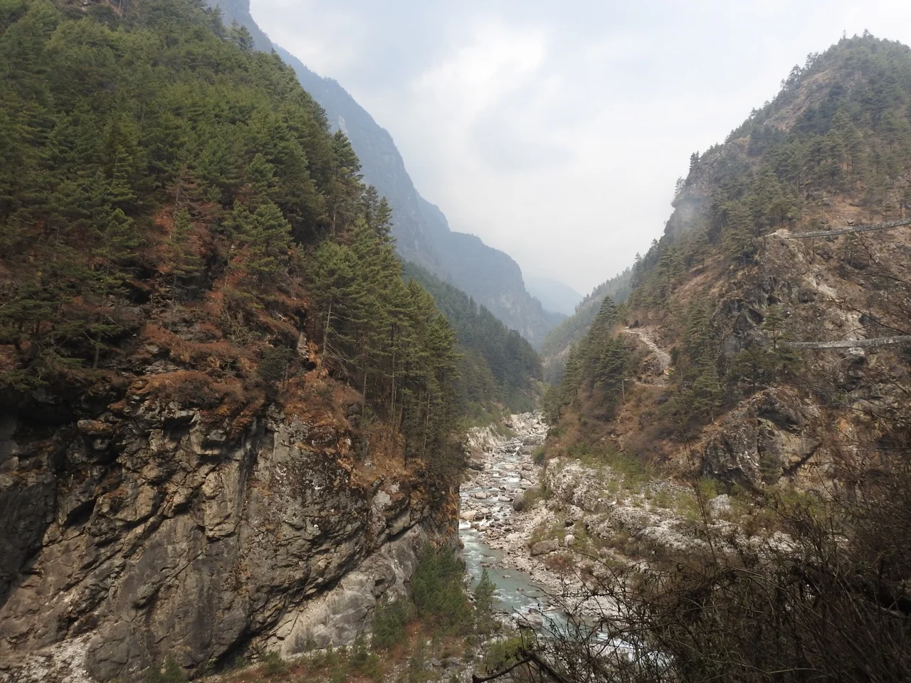 DSCN5083.jpg