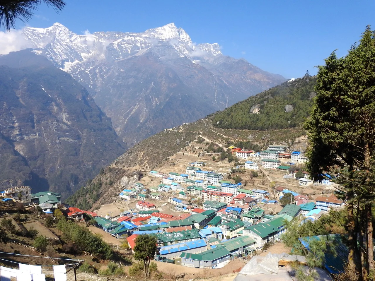 DSCN5166.jpg