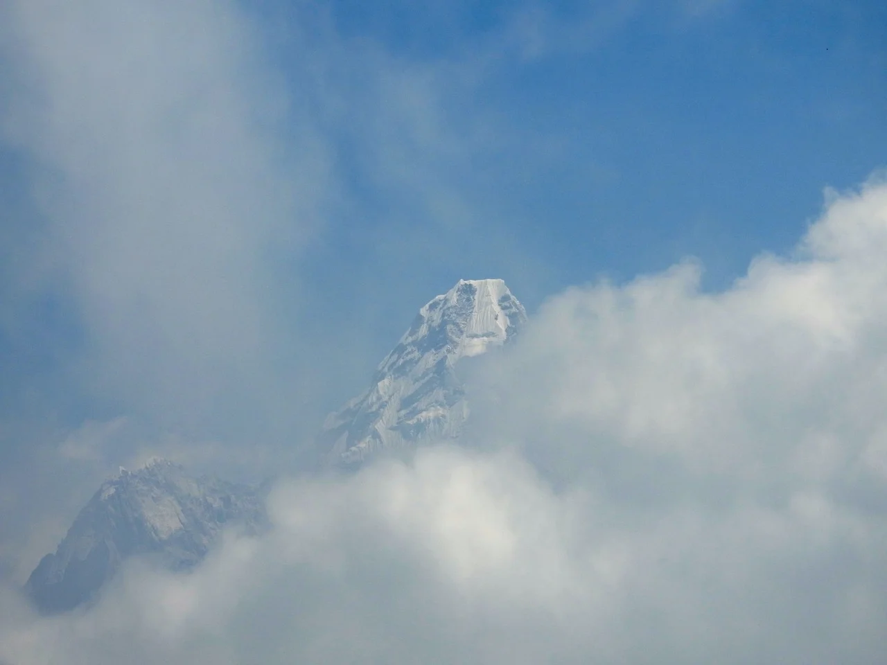DSCN5204.jpg