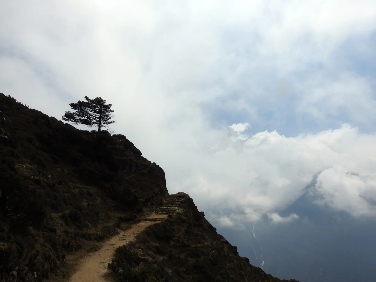 DSCN5215.jpg