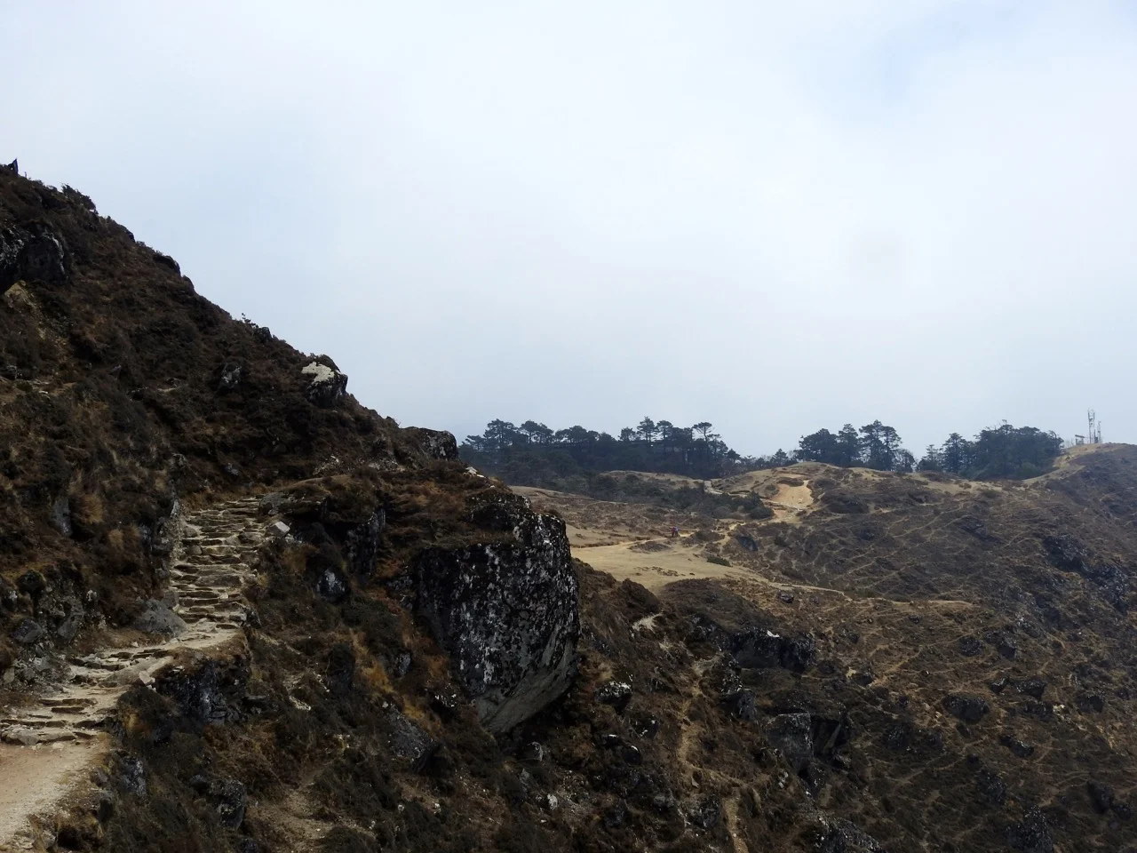 DSCN5218.jpg