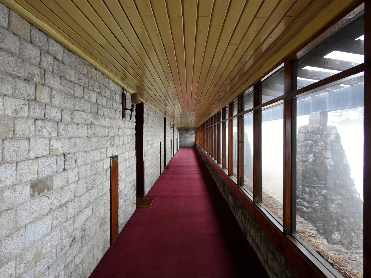 DSCN5229.jpg