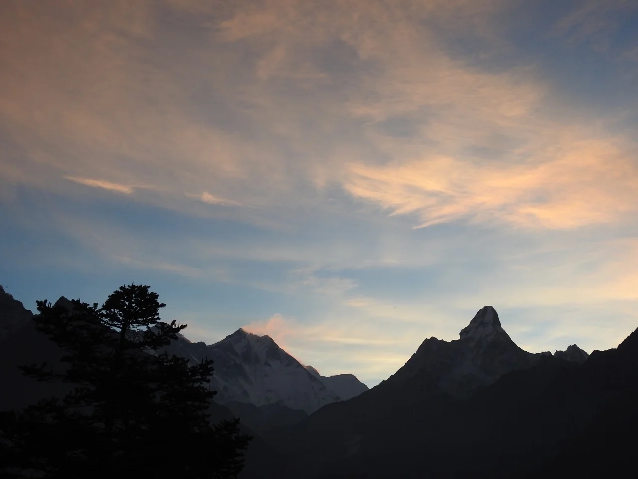 DSCN5280.jpg
