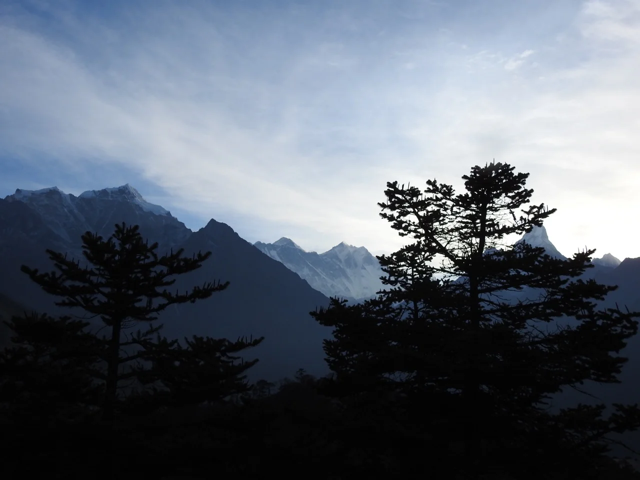 DSCN5330.jpg