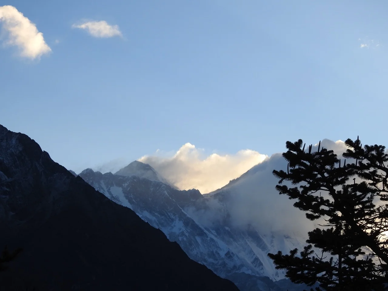 DSCN5661.jpg