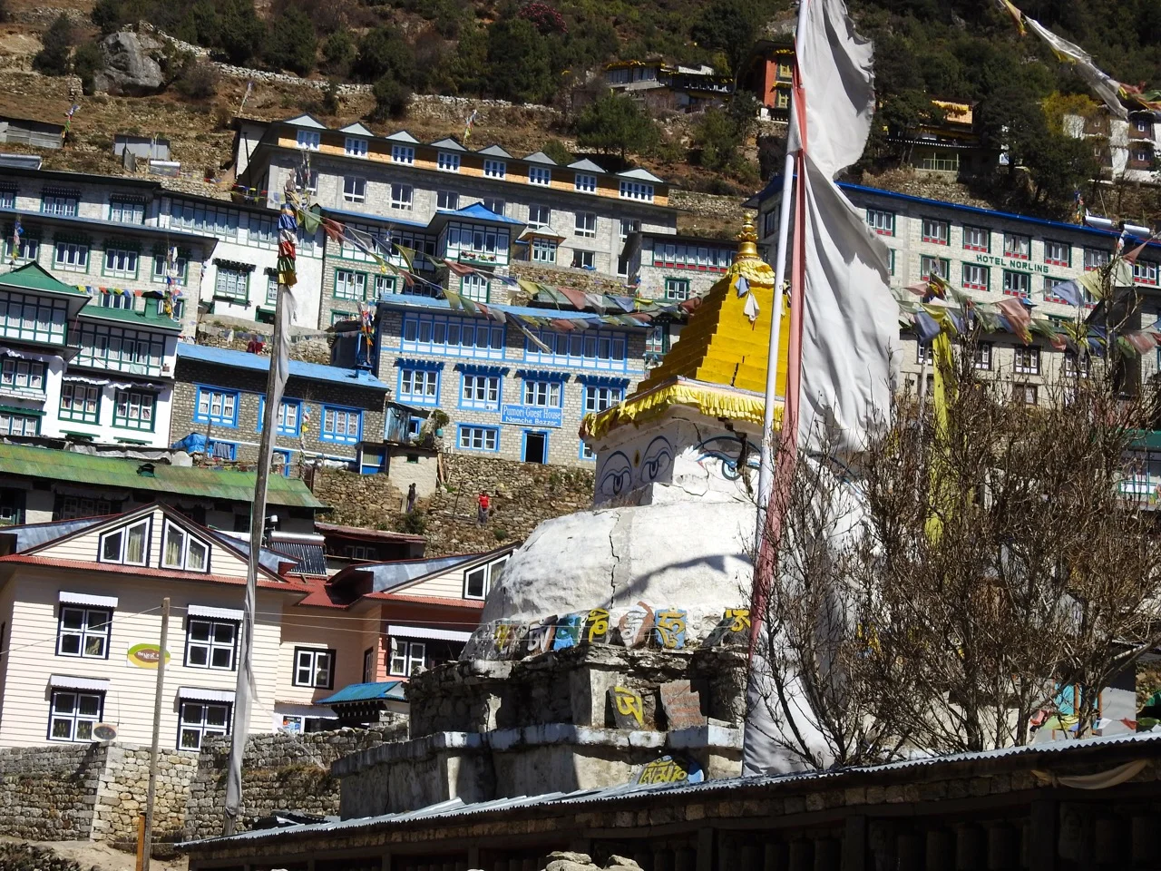 DSCN5749.jpg