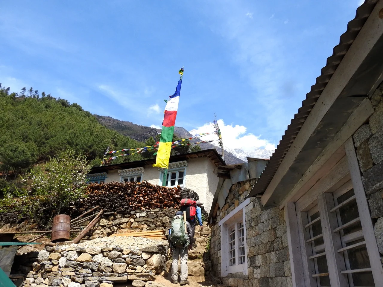 DSCN5786.jpg