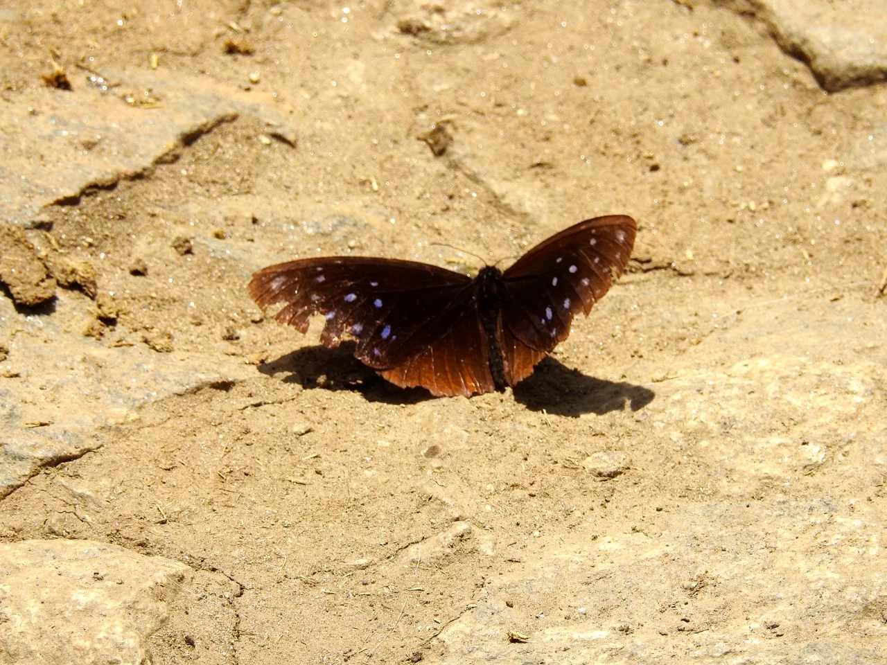 DSCN5876.jpg