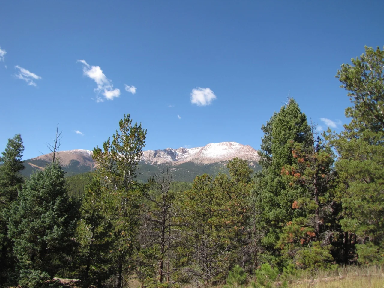 IMG_4763.jpg