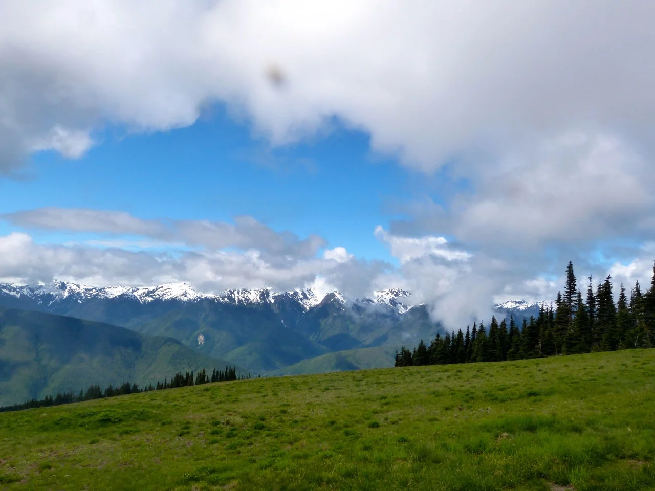 500px Photo ID- 85125385.jpg