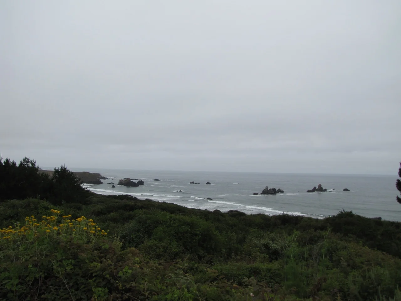 IMG_3889.jpg