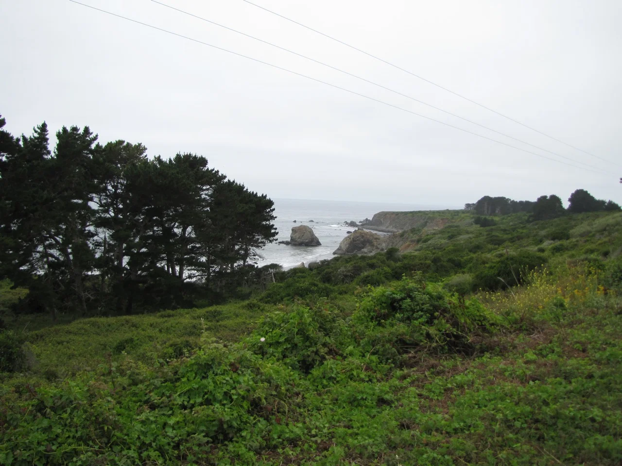 IMG_3890.jpg