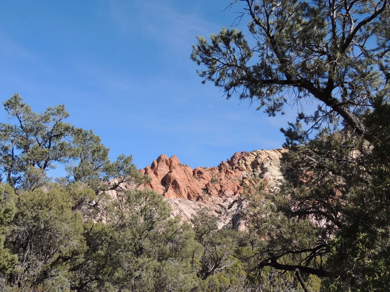 DSCN2371.jpg