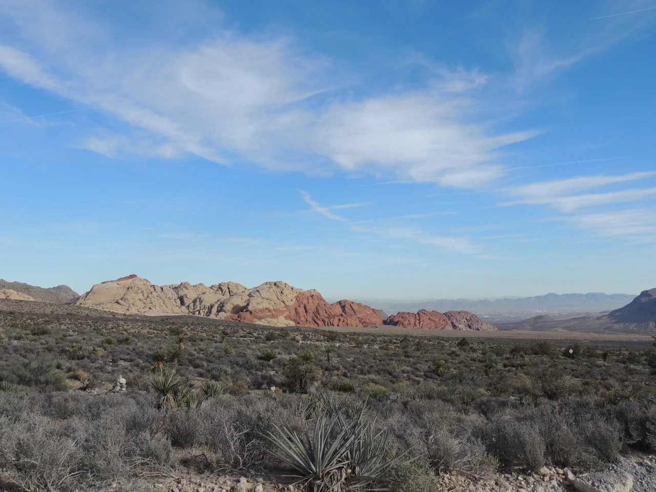 DSCN2390.jpg