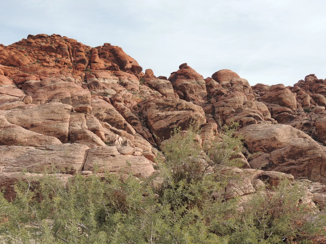 DSCN2417.jpg