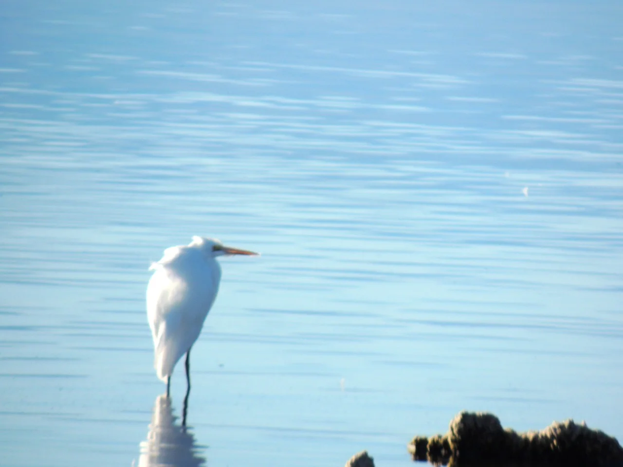 DSCN2898.jpg