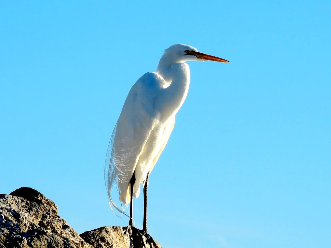 DSCN2927.jpg