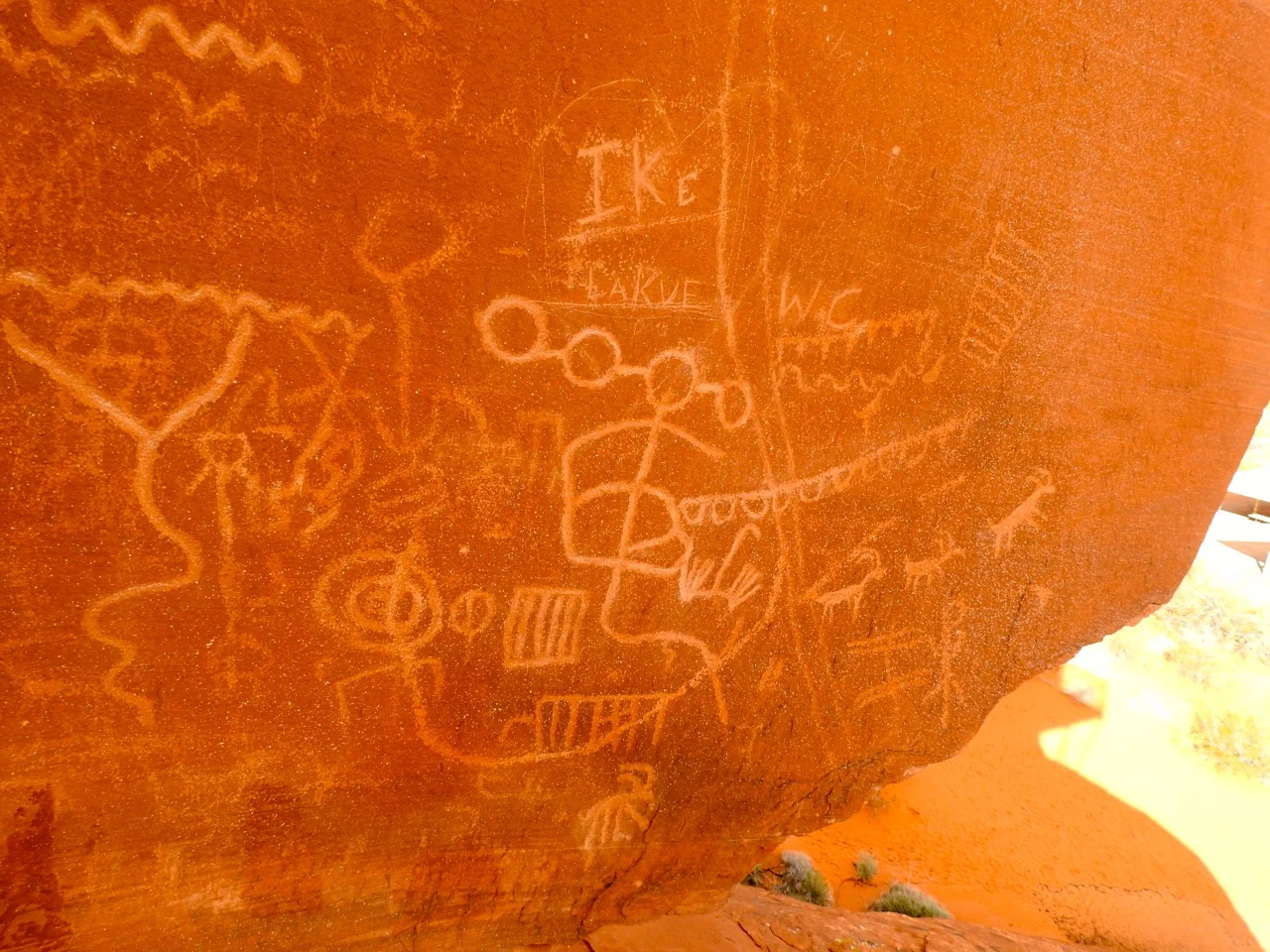 DSCN4168.jpg