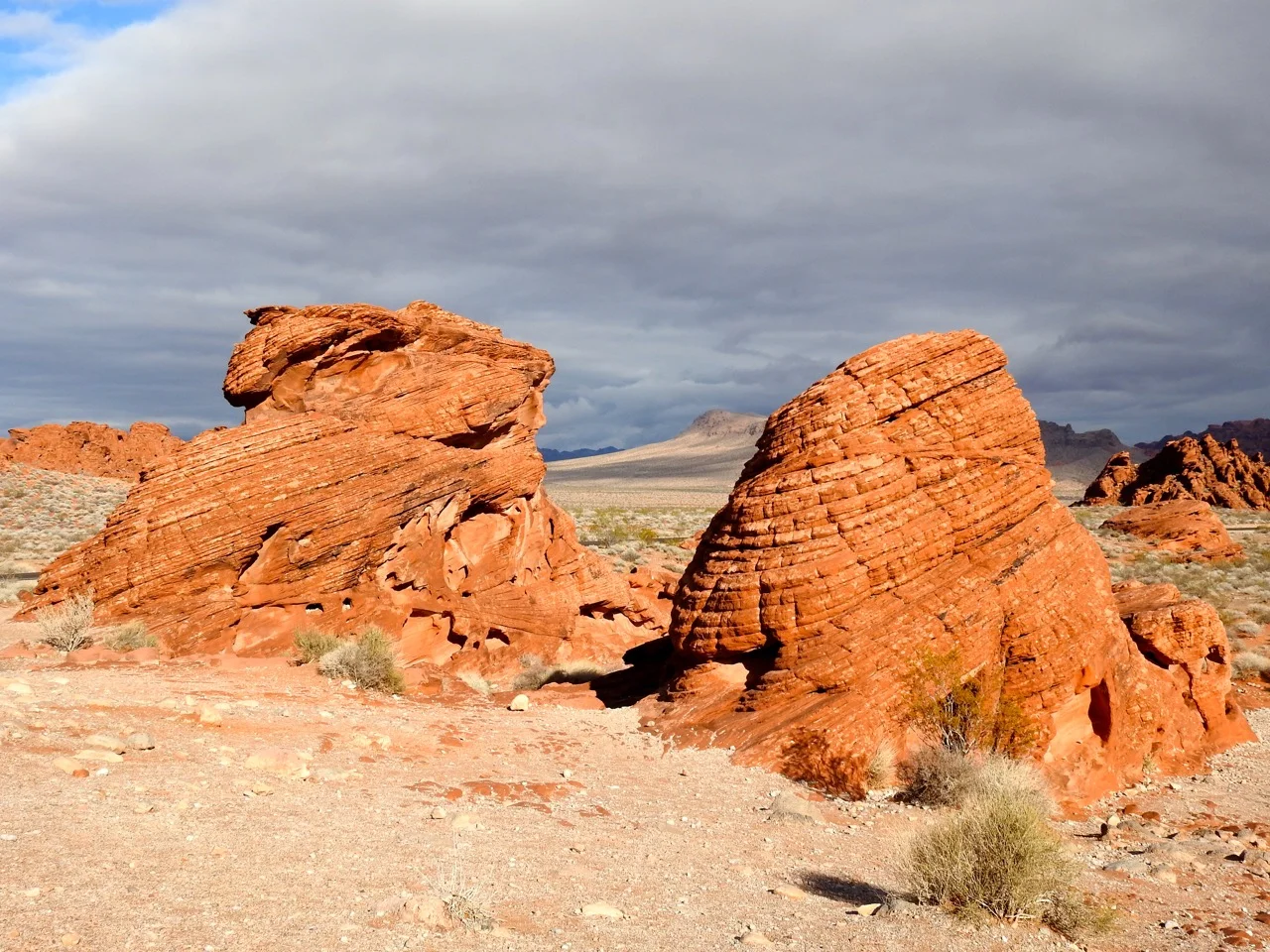 DSCN4174.jpg