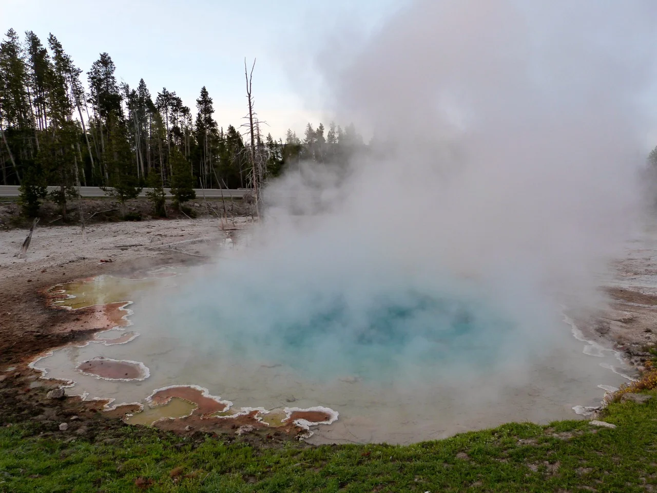 P1070338.jpg