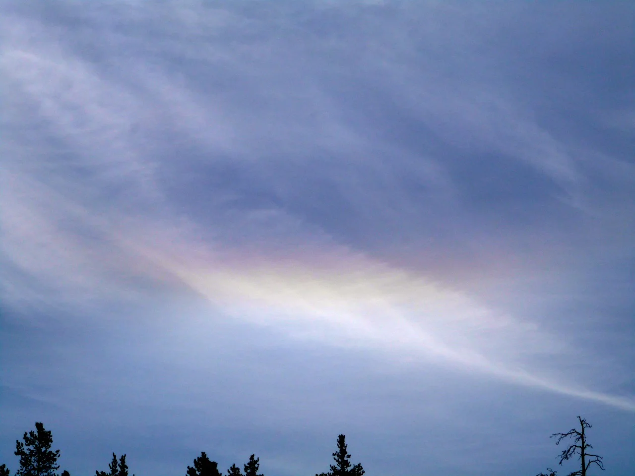 P1070445.jpg