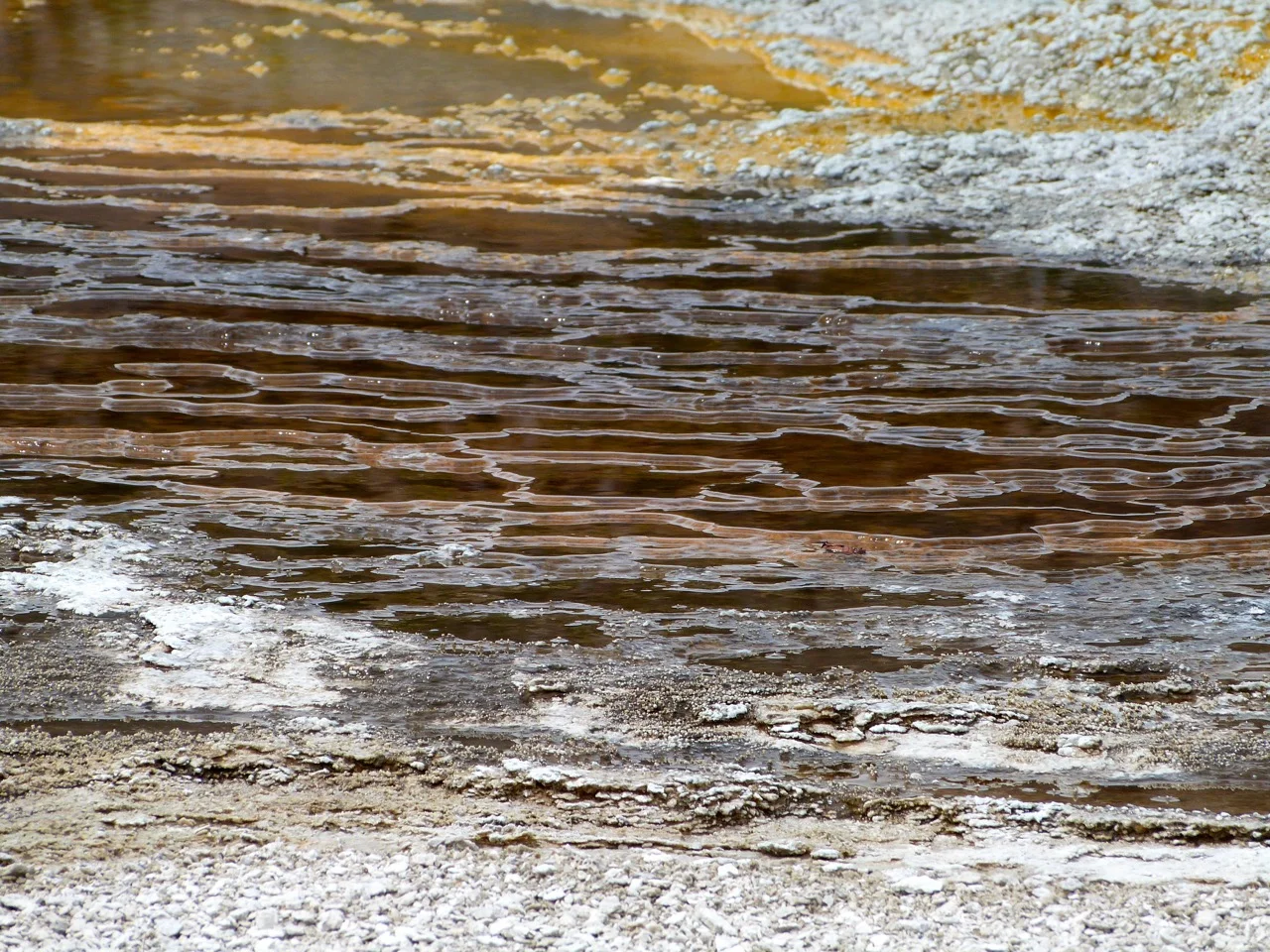 P1070746.jpg
