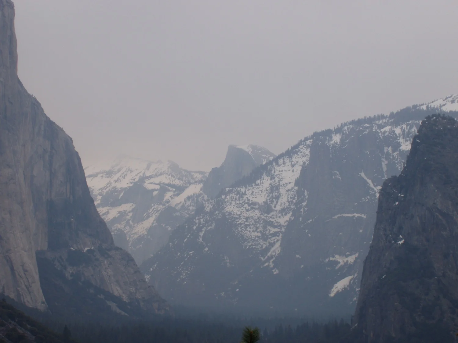 Half Dome from the overlook.jpg