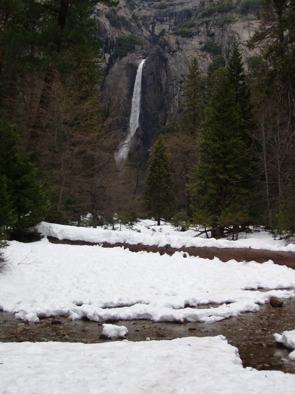 Merced River and Lower Yosemite Fall.jpg