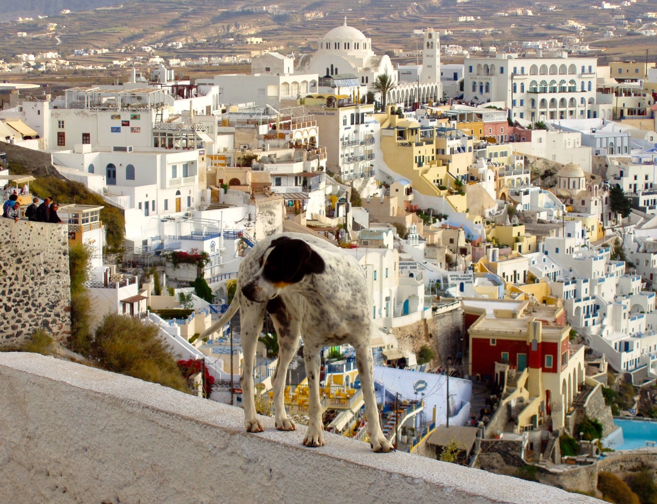 126. On top of the world in Santorini.jpg