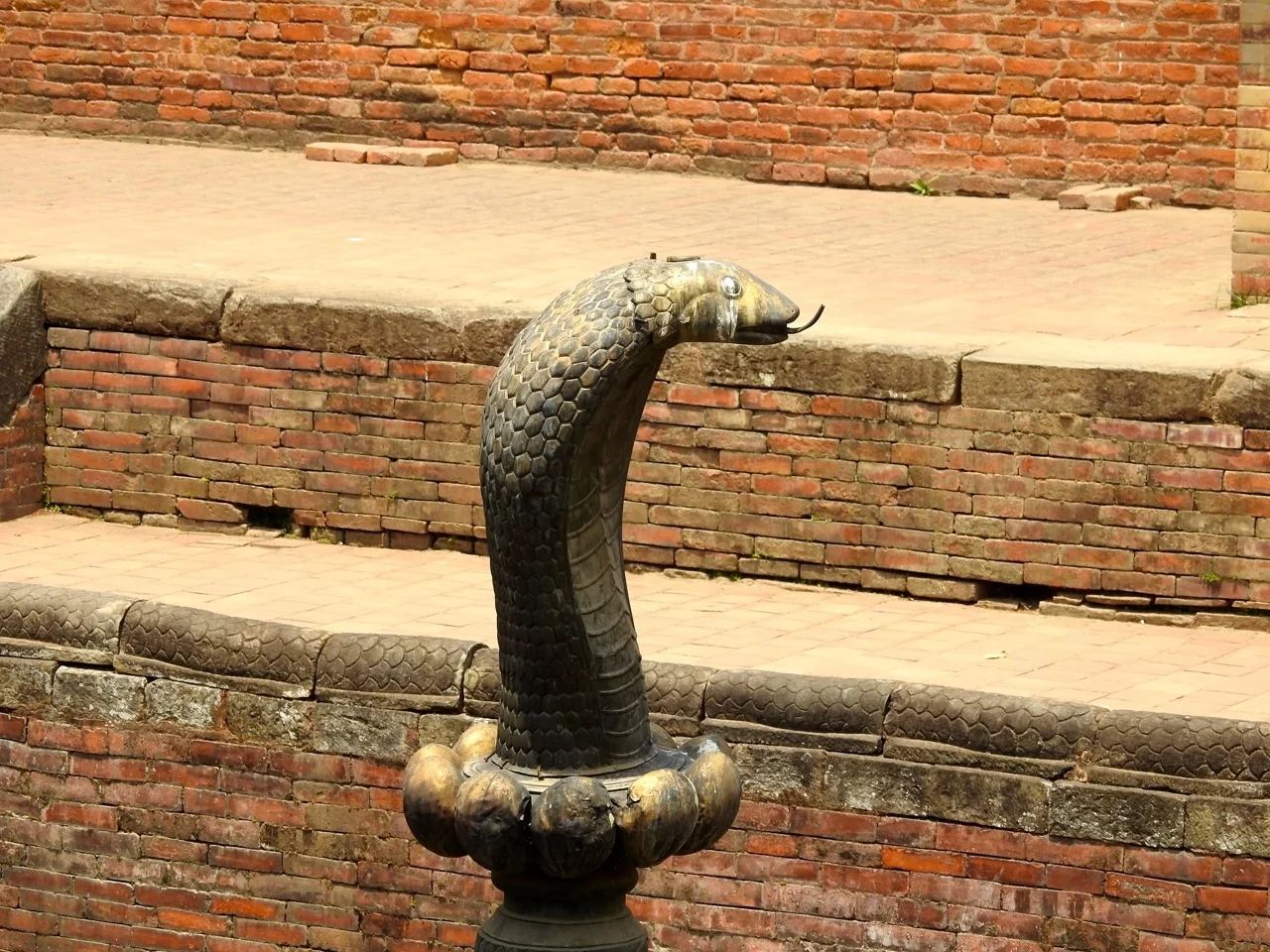 DSCN6215.jpg