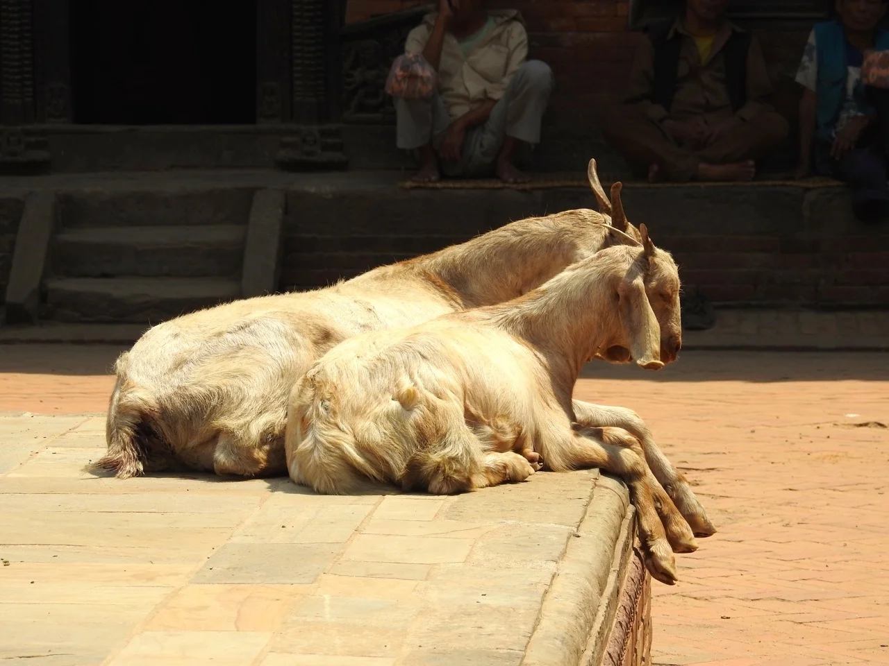 DSCN6234.jpg