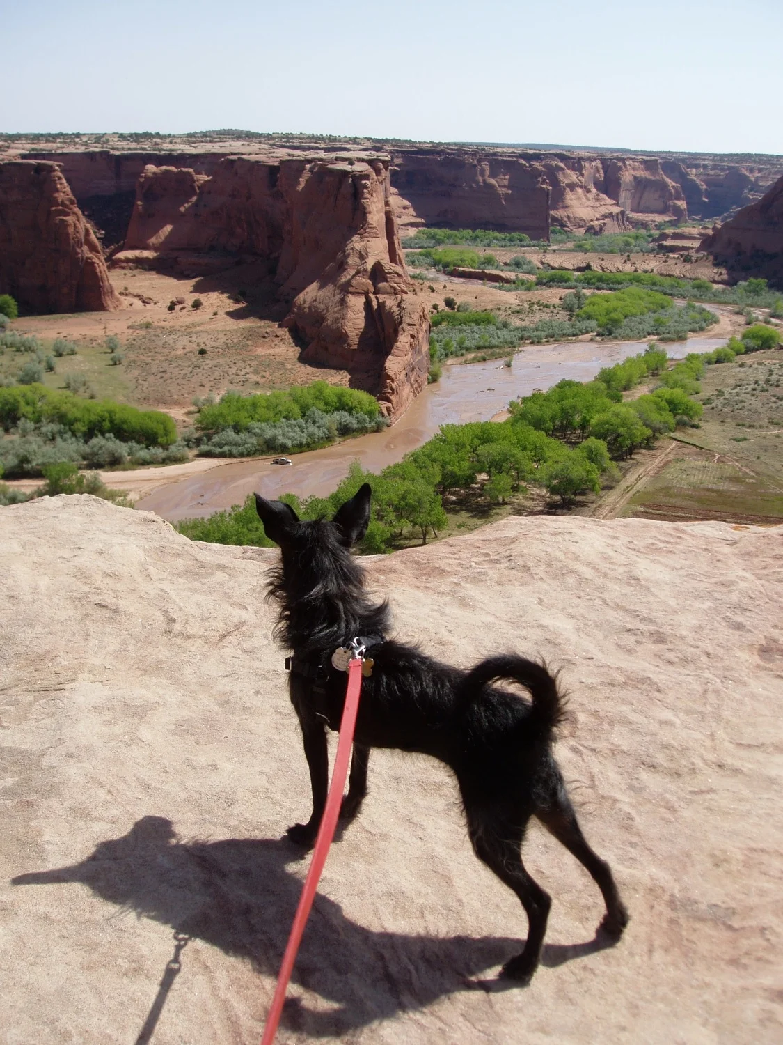 Ella at Canyon de Chelly.jpg