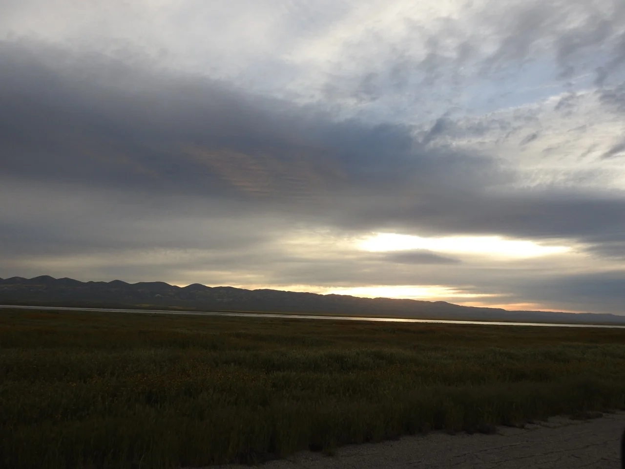 DSCN6018.jpg