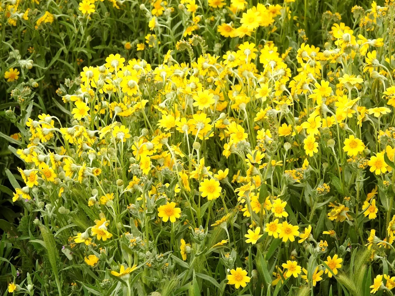 DSCN6059.jpg