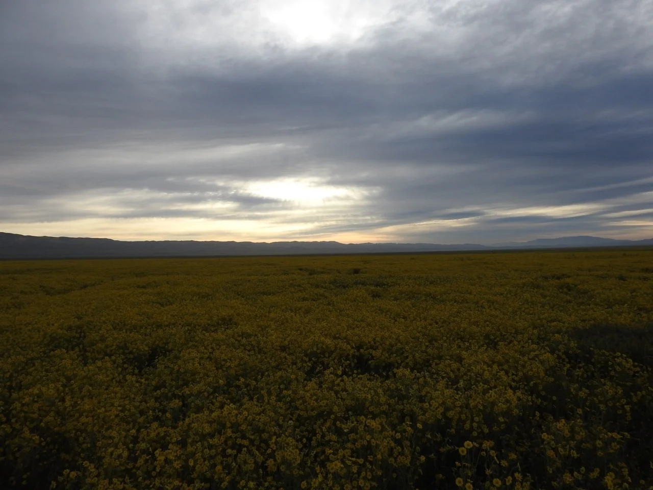 DSCN6064.jpg