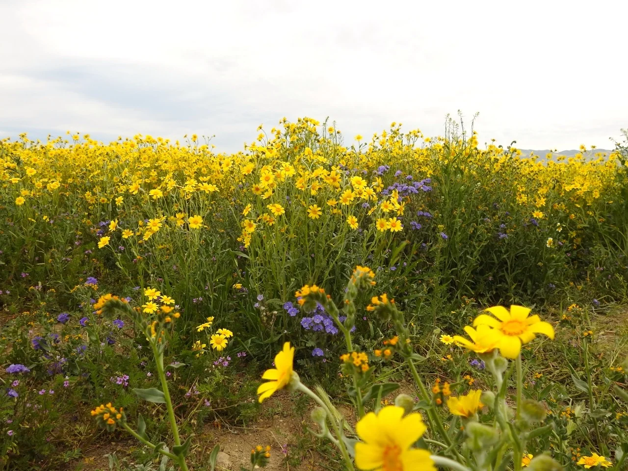 DSCN6108.jpg